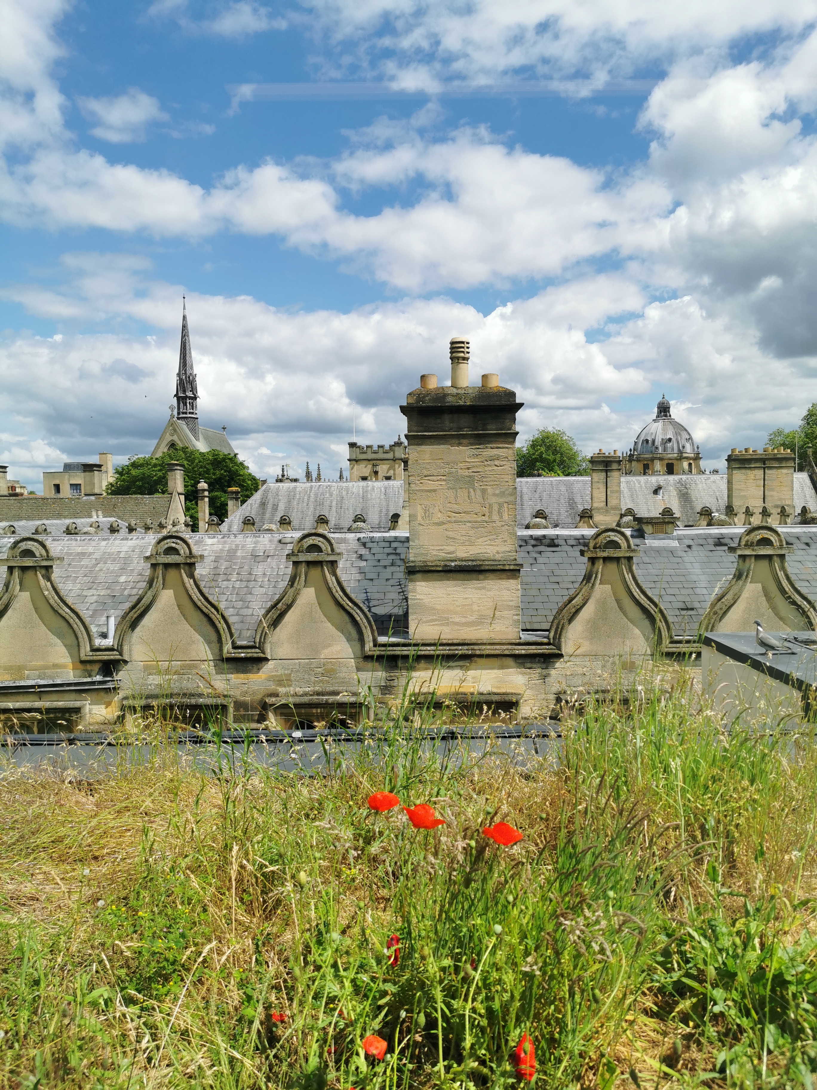 Oxford college green landscape